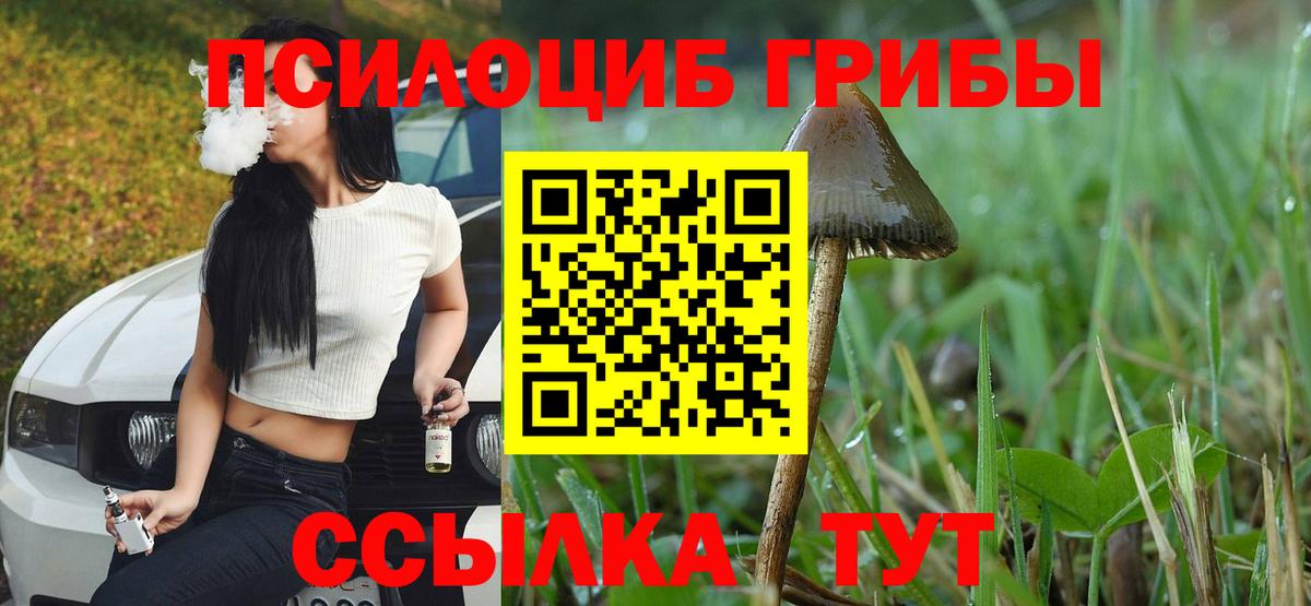 Галлюциногенные грибы Psilocybine cubensis  Вход с VPN  Мурманск  Галлюциногенные грибы Psilocybine cubensis 
